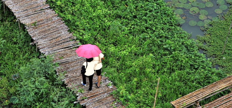 How Human Connection Can Save the World How Human Connection Can Save the World